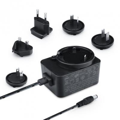 5V 2A Power Adapter with Interchangeable Plugs