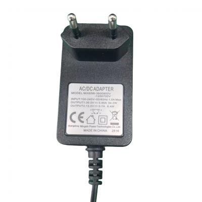 Dual Output Switching Power Adapter 36V 0.95A & 12V 0.7A for Projectors